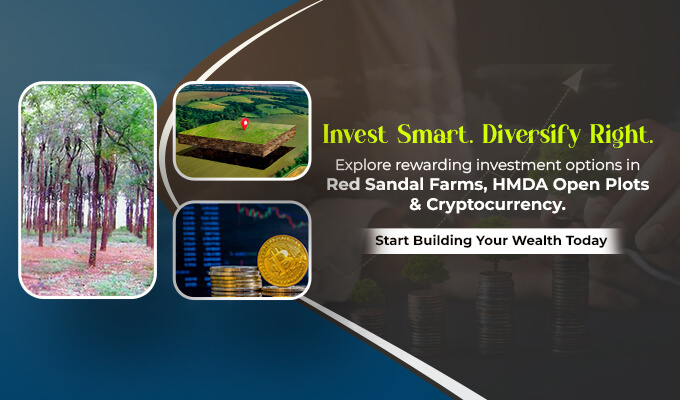 Home Page Mobile Banner -1